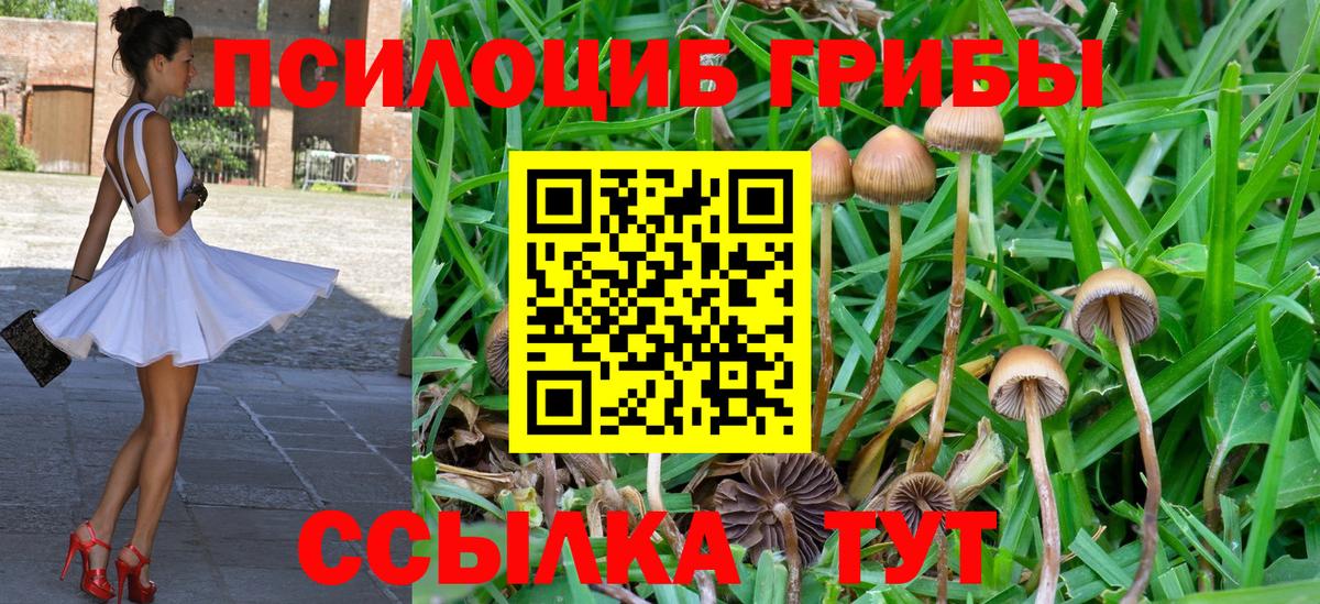 Галлюциногенные грибы ЛСД Красногорск