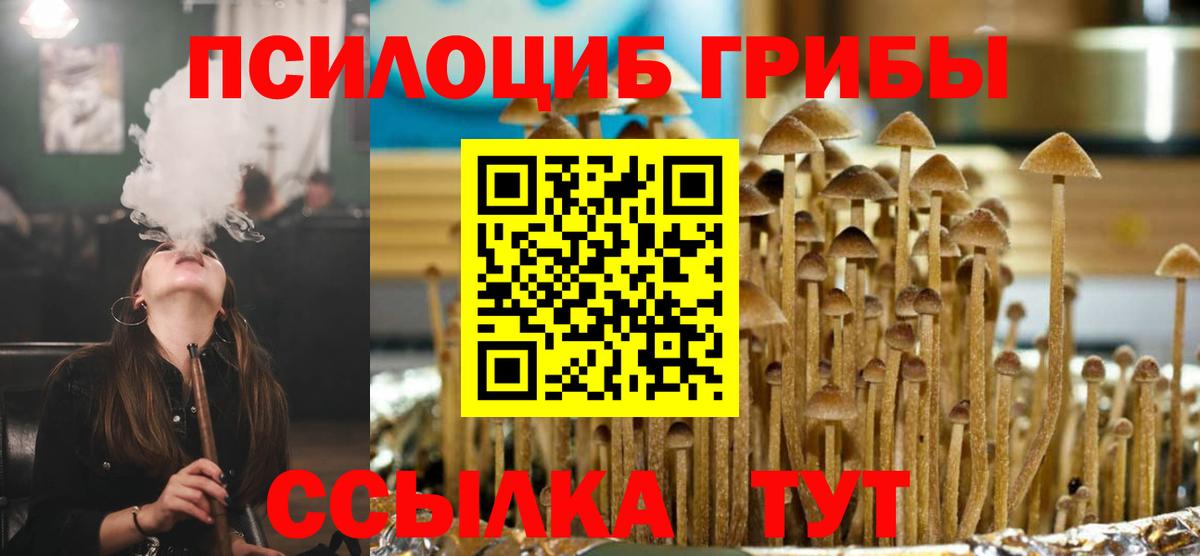 Псилоцибиновые грибы мухоморы  Вход с VPN  где найти наркотики  Красногорск  Галлюциногенные грибы Psilocybine cubensis 